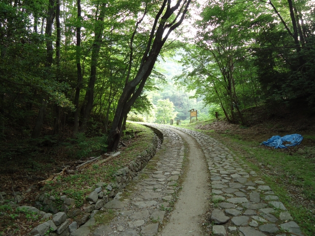 各務野自然遺産の森