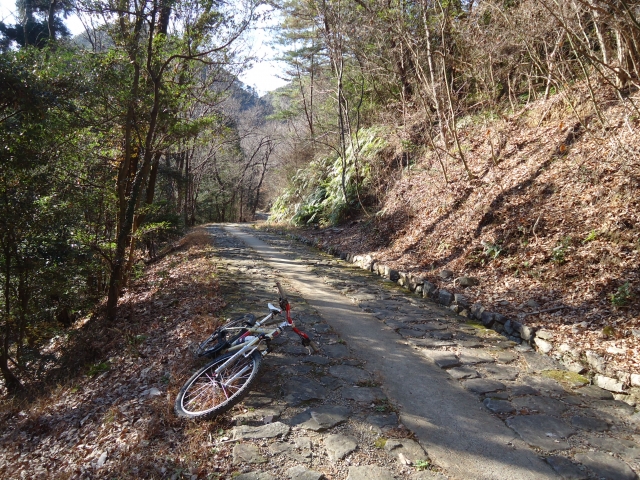 各務野自然遺産の森