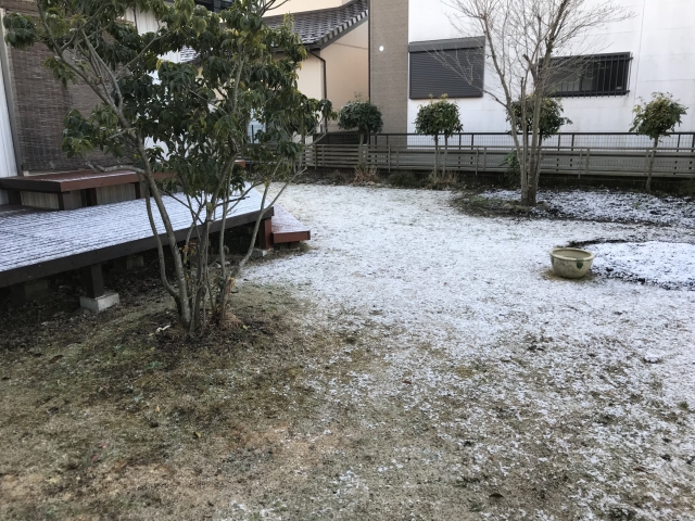 雪