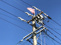 電柱