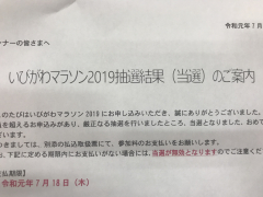 いびがわマラソン