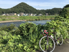 晴れた朝
