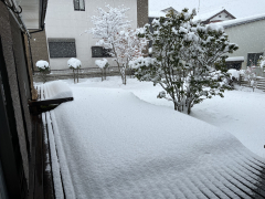 クリスマス寒波