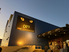 CATS