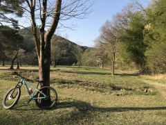 各務野
