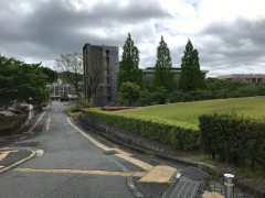 大学構内 大学構内