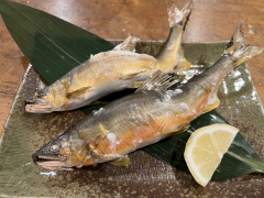 塩焼き