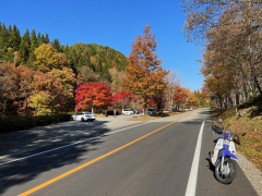 せせらぎ街道