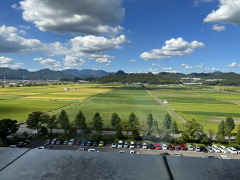風景