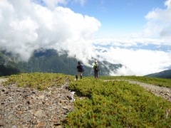 山頂付近 山頂付近