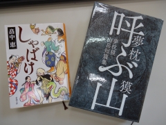 本 本