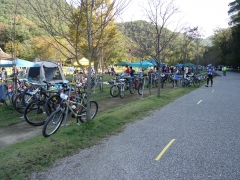 レース レース